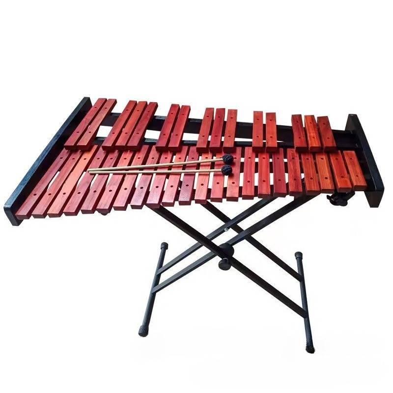37Tones Xylofoon Metaal Kinder - Musical Instrument Glockenspiel recensie en prijs