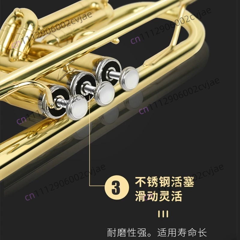 Geschikt voor Jinbao trompet m - Musical Instrument Band recensie en prijs