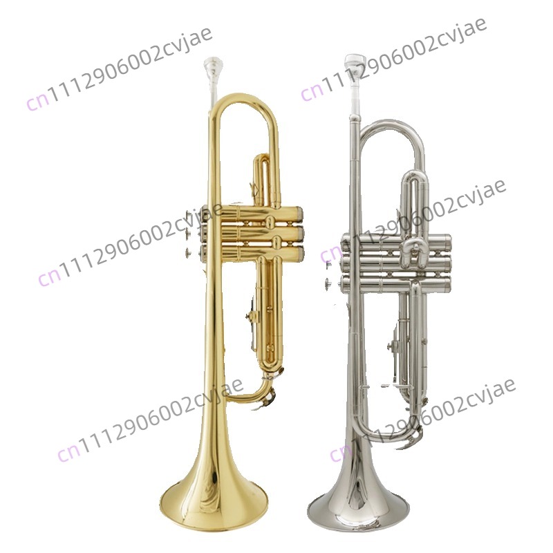 Geschikt voor Jinbao trompet m - Musical Instrument Band recensie en prijs