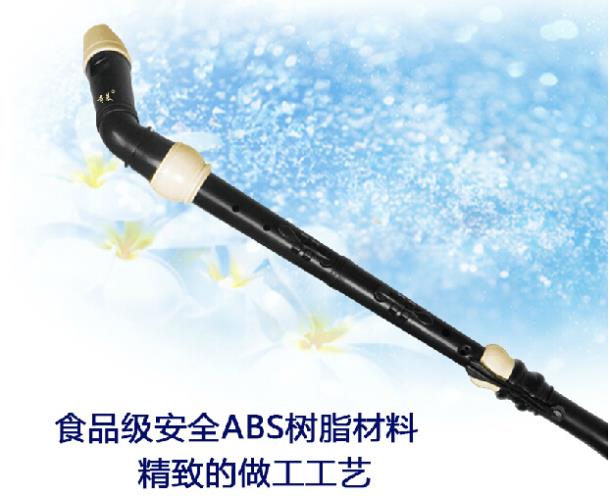 Professionele 8-gaats barokke  - Recorder Baroque Style recensie en prijs