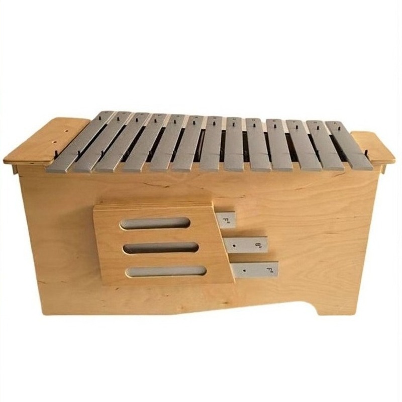 Aluminium Xylofoon 13 Tonen Pr - Musical Instrument Glockenspiel recensie en prijs