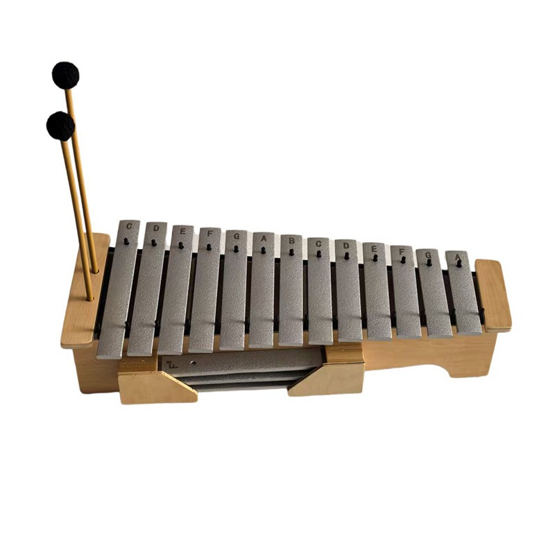 Aluminium Xylofoon 13 Tonen Pr - Musical Instrument Glockenspiel recensie en prijs