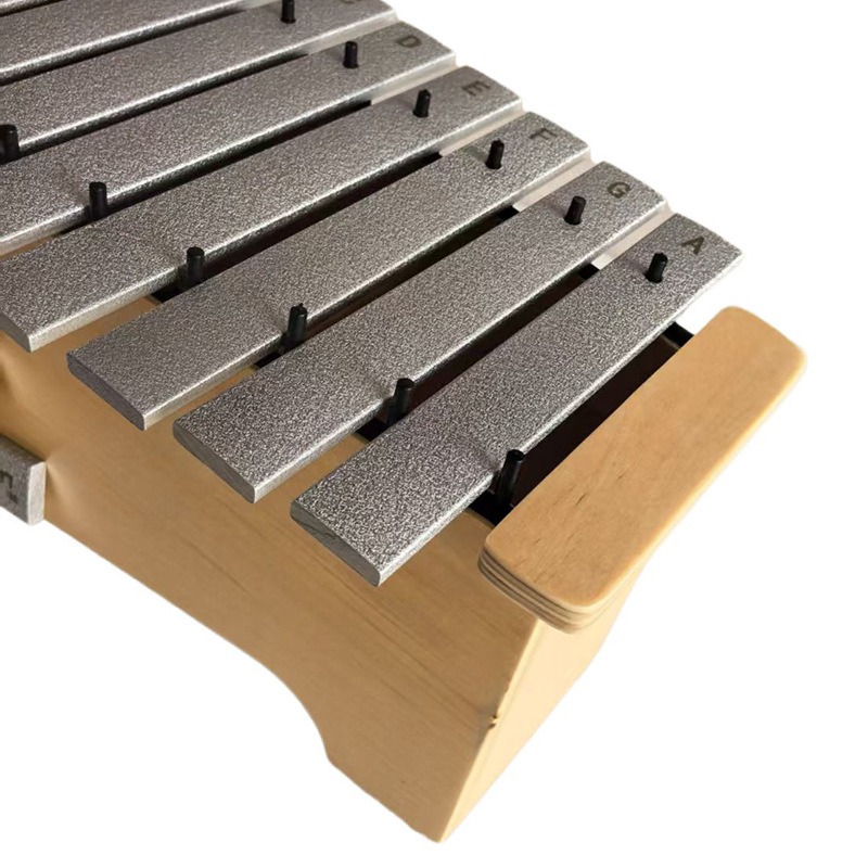 Aluminium Xylofoon 13 Tonen Pr - Musical Instrument Glockenspiel recensie en prijs
