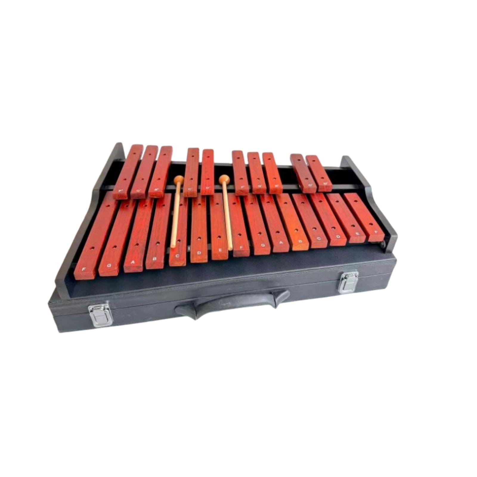 Lichtgewicht klokkenspel met h - Musical Instrument Glockenspiel recensie en prijs