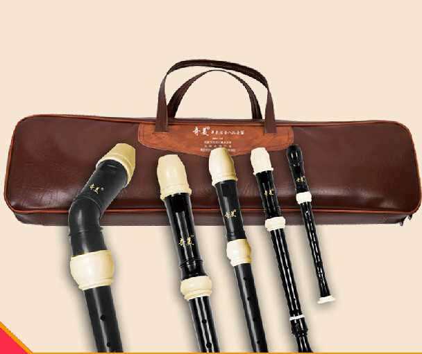 Volledige set ABS hars recorde - Recorder Baroque Style recensie en prijs