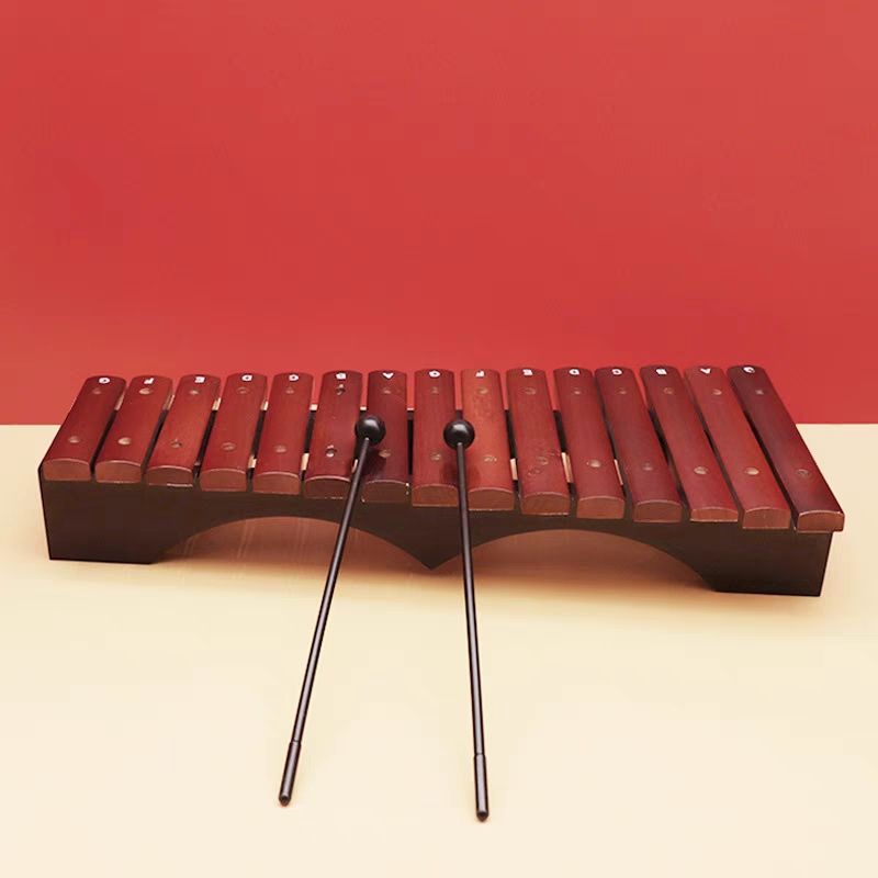 15 Tone Glockenspiel Xylofoon  - Musical Instrument Glockenspiel recensie en prijs