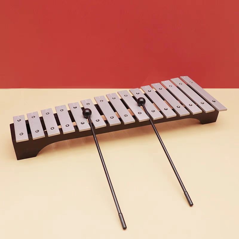 15 Tone Glockenspiel Xylofoon  - Musical Instrument Glockenspiel recensie en prijs